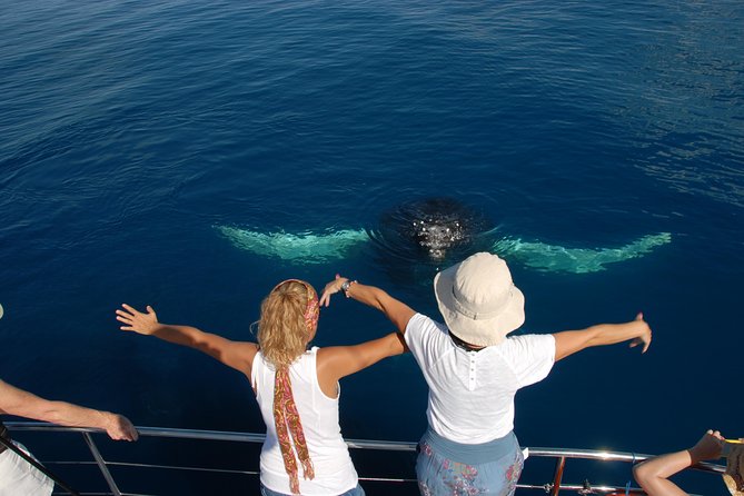 Fraser Island Whale Watch Encounter - Platypus Bay and K’gari as the day’s main stops