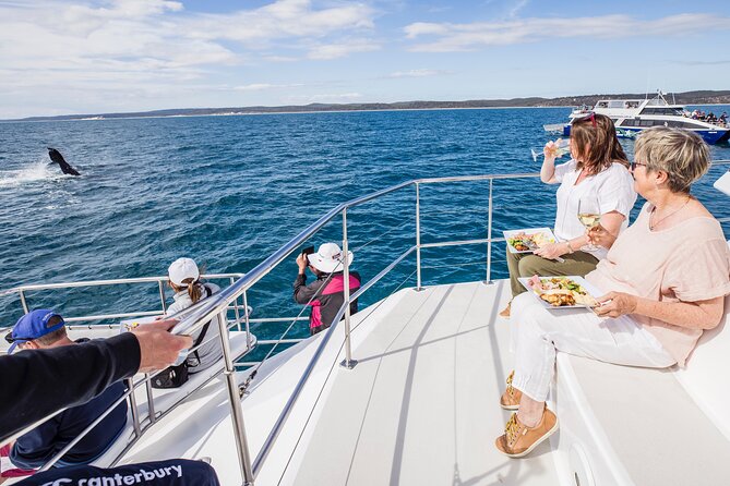 Freedom 3/4 Day Hervey Bay Premium Whale Watching Cruise - Key points at a glance