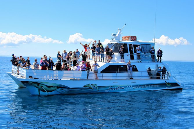 Freedom 3/4 Day Hervey Bay Premium Whale Watching Cruise - Why Platypus Bay is the main event