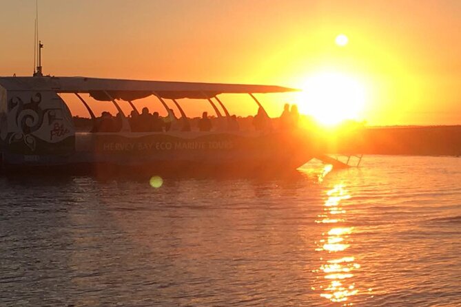 Freedom 3/4 Day Hervey Bay Premium Whale Watching Cruise - The return trip includes afternoon tea