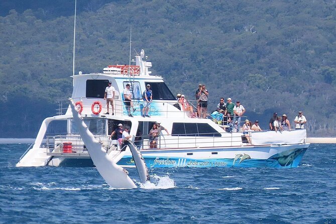 Freedom 3/4 Day Hervey Bay Premium Whale Watching Cruise - Leaving Great Sandy Strait Marina at 9:30