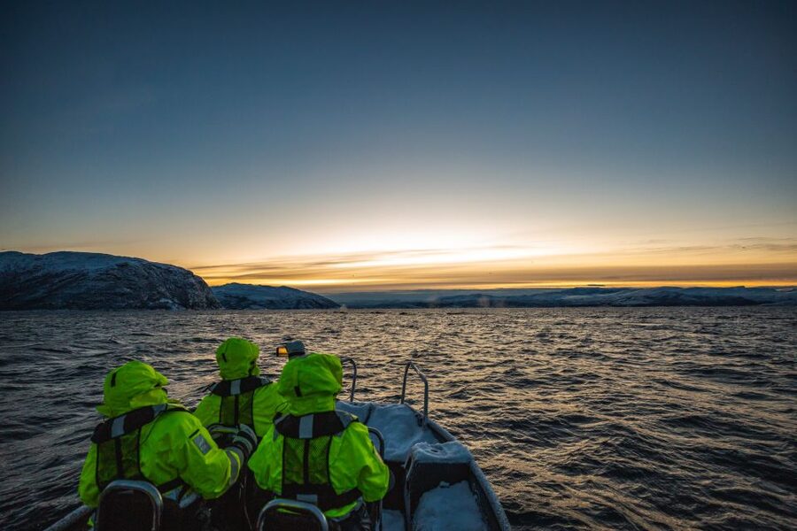 From Alta: Small Group Whale Watching by RIB - Key points to know before booking