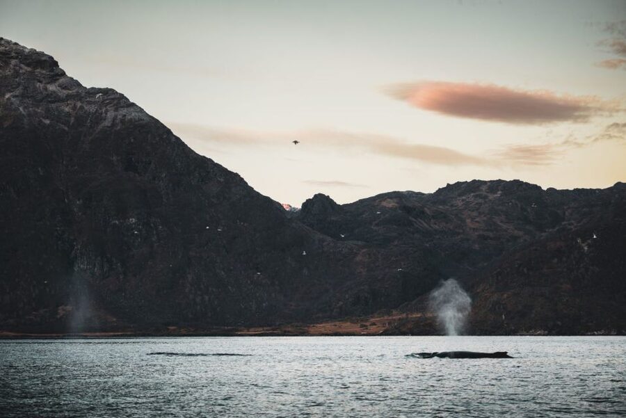 From Alta: Small Group Whale Watching by RIB - Suiting up for an Arctic RIB ride
