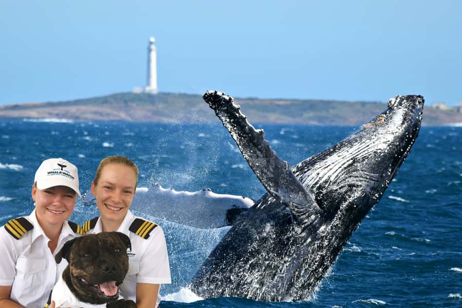 From Augusta: Whale Watching Award Winning Tour - The first part of the cruise: finding the whales