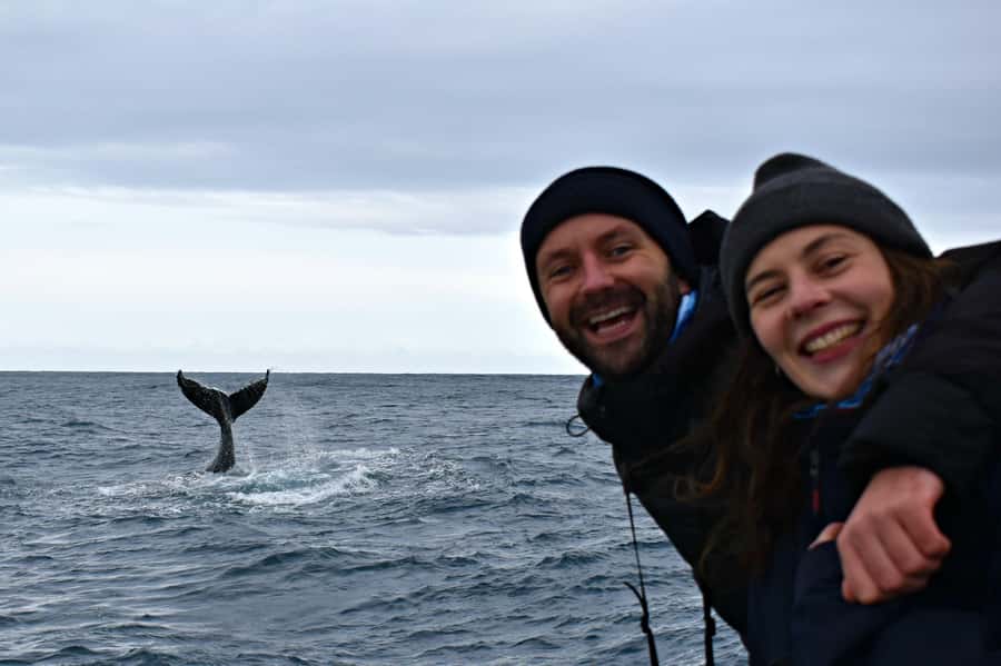 From Augusta: Whale Watching Award Winning Tour - Starting at Augusta Boat Harbour