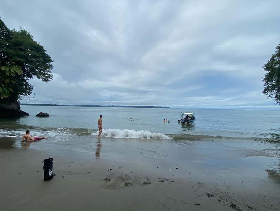 From Cali: Whale Watching Day Trip in Buenaventura - Key points to know before you book