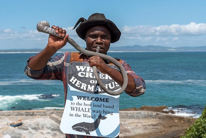 From Cape Town: Full Day Guided Hermanus and Whale Tour - Why this Hermanus day trip works