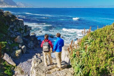 From Cape Town: Full Day Guided Hermanus and Whale Tour