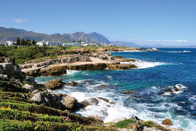 From Cape Town: Full Day Guided Hermanus and Whale Tour - Guide quality and the group experience