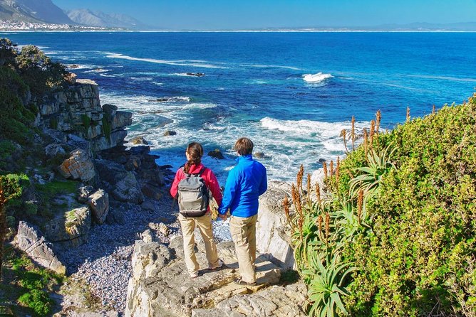 From Cape Town: Full Day Guided Hermanus and Whale Tour - Gordon’s Bay and the Pitstop