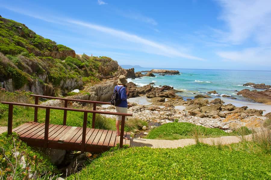 From Cape Town: Full Day Hermanus Whale Watching Tour - Three hours in Hermanus for shore-based whale watching