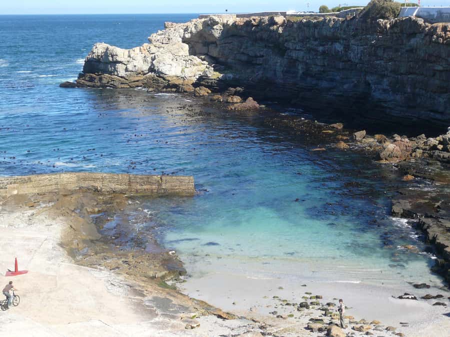From Cape Town: Full Day Hermanus Whale Watching Tour - The optional boat trip deserves careful attention