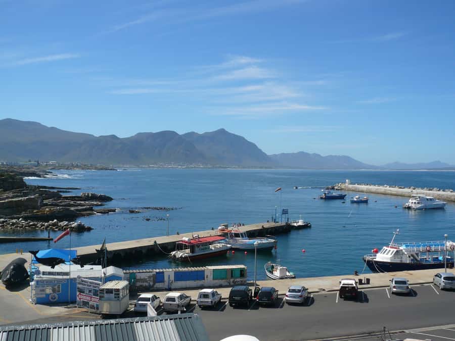 From Cape Town: Full Day Hermanus Whale Watching Tour - Bouchard Finlayson and the Hemel en Aarde Valley