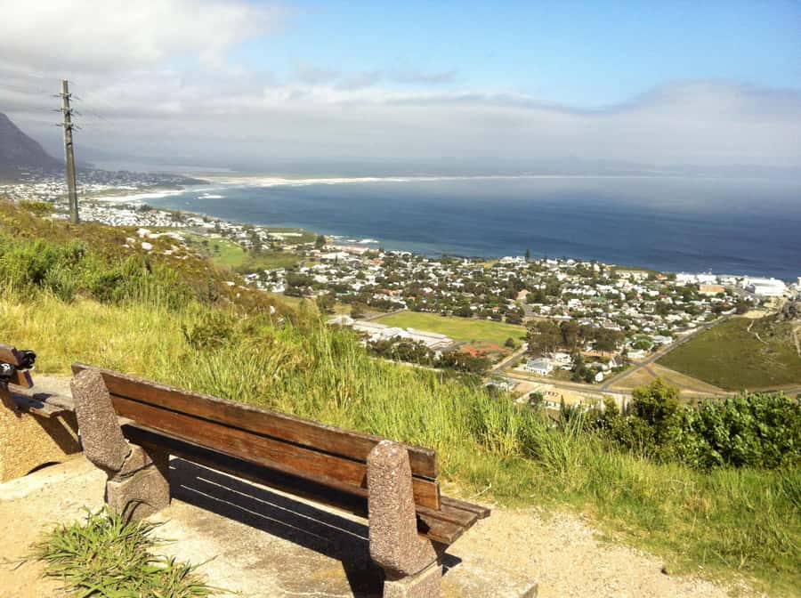 From Cape Town: Hermanus Whale Watching Full Day Tour - Rotary Way Lookout Point and Walker Bay