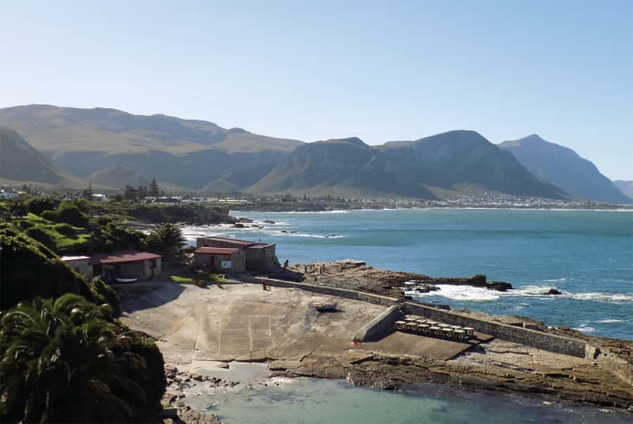 From Cape Town: Hermanus Whale Watching Full Day Tour - Three hours in Hermanus