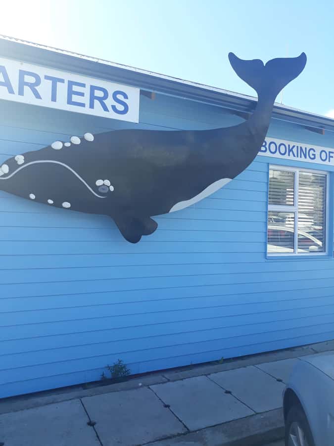From Cape Town: Hermanus Whale Watching Tour with Transfer - Key points to know before booking