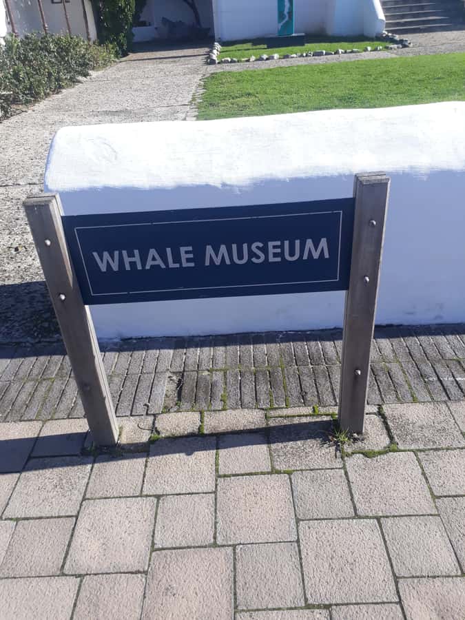 From Cape Town: Hermanus Whale Watching Tour with Transfer - The two-hour drive from Cape Town