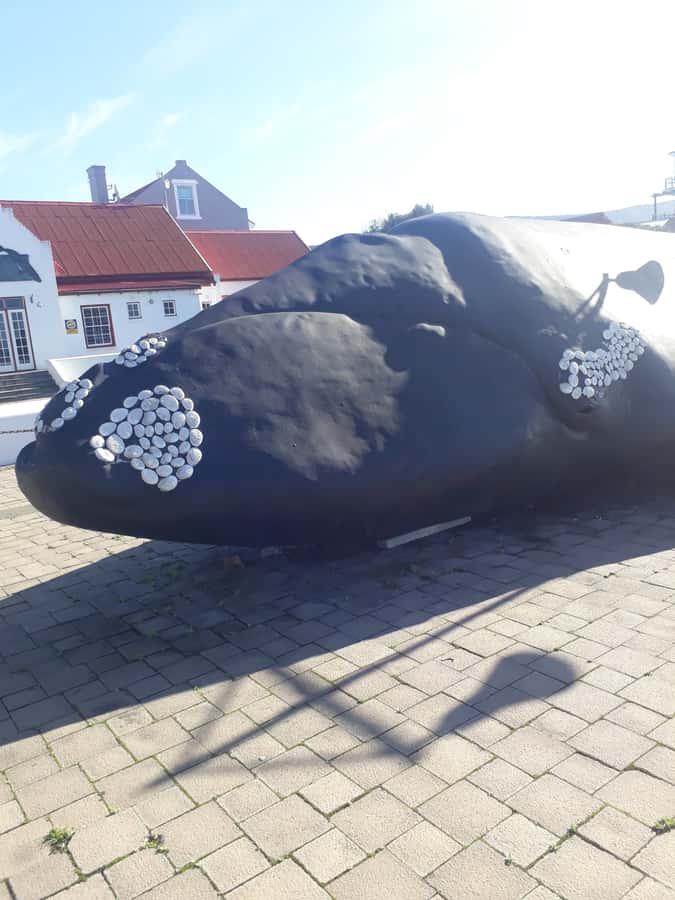From Cape Town: Hermanus Whale Watching Tour with Transfer - Sir Lowry’s Pass and the Steenbras Dam