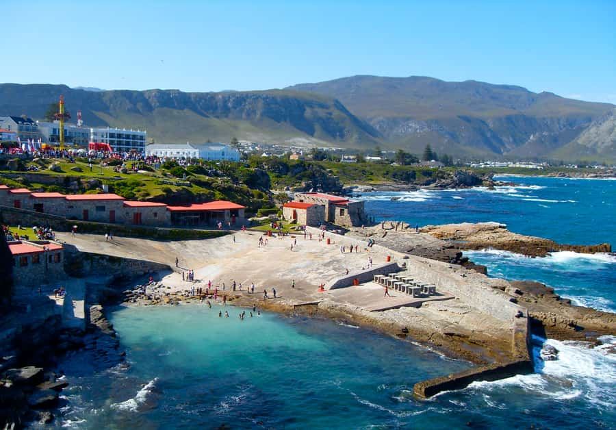 From Cape Town: Whale Watching Tour in Hermanus and Gansbaai - Key points to know before you book