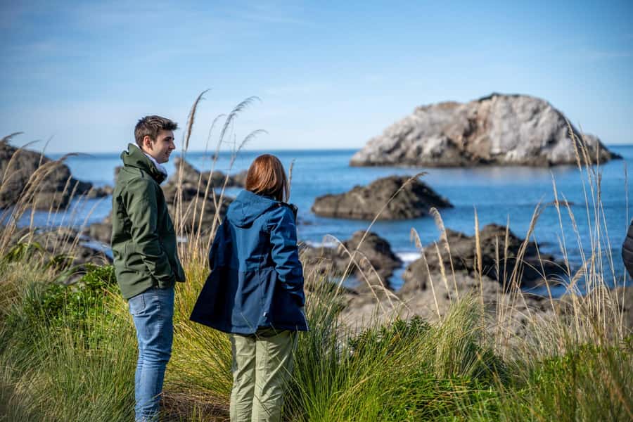 From Christchurch: Kaikōura Day Tour with Whale Watching - Five things that make this Kaikōura tour worthwhile