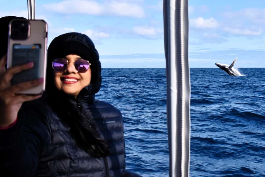 From Fremantle: 2-Hour Luxury Whale-Watching Cruise - Starting at Sardine Jetty in Fremantle
