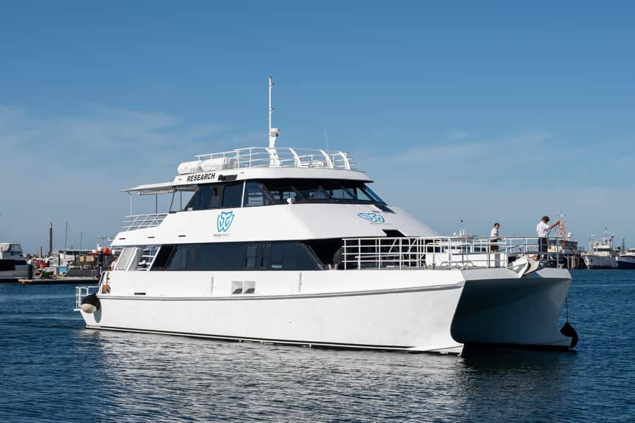 From Fremantle: 2-Hour Luxury Whale-Watching Cruise - Who will enjoy this Fremantle cruise most?