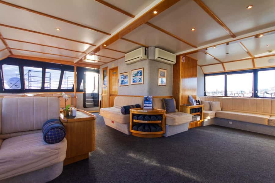 From Fremantle: 2-Hour Luxury Whale-Watching Cruise - Practical tips for a better morning or afternoon