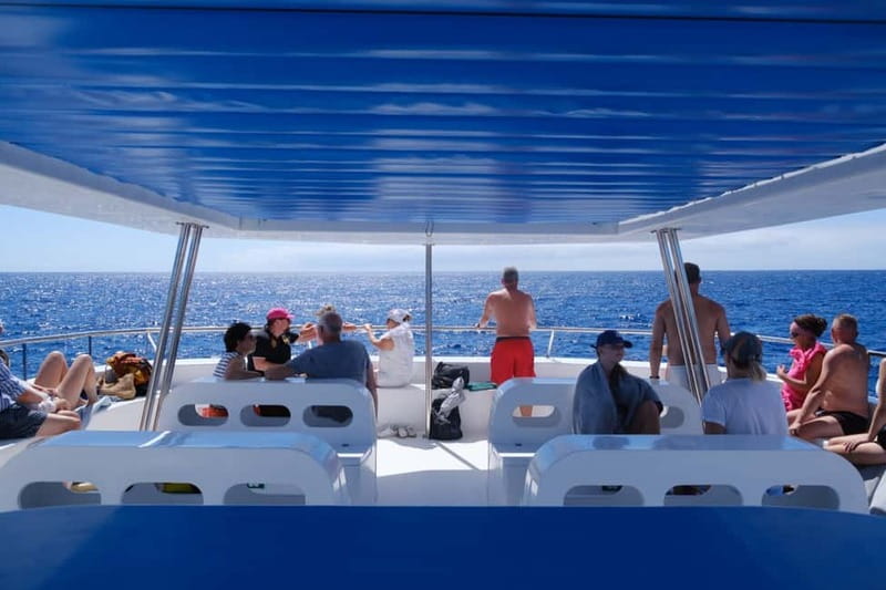 From Funchal: Ecological Catamaran Dolphin Whale Watching - Who will enjoy this Madeira boat trip most?
