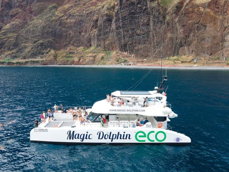From Funchal: Ecological Catamaran Dolphin Whale Watching - Leaving Funchal Marina on a purpose-built catamaran
