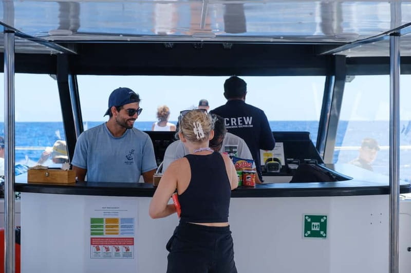 From Funchal: Ecological Catamaran Dolphin Whale Watching - Watching pilot whales and sperm whales