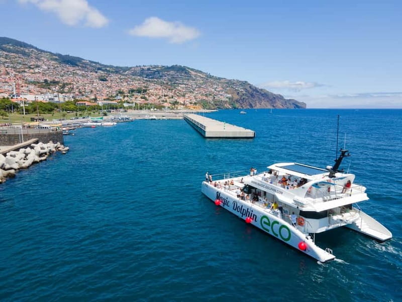From Funchal: Ecological Catamaran Dolphin Whale Watching - The return route along Madeira’s south coast