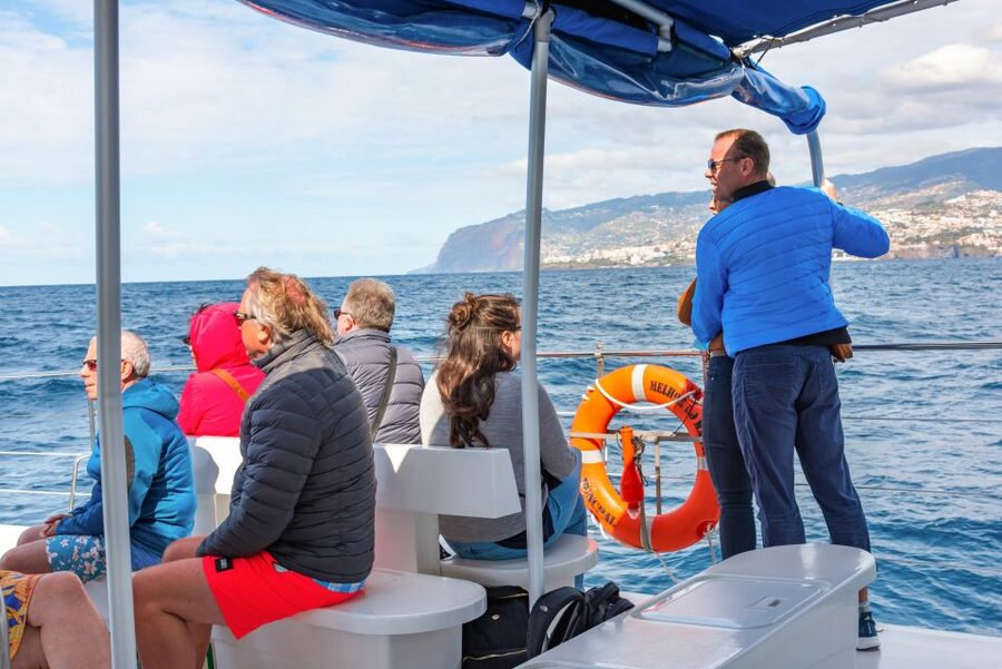 From Funchal: Madeira Dolphin and Whale Watching Tour - Should you book the Funchal dolphin and whale tour?