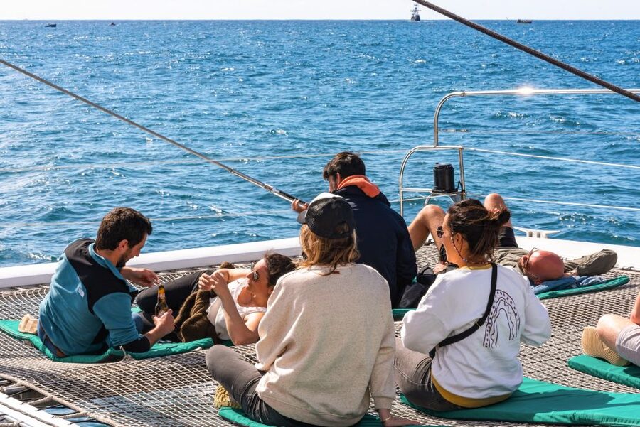 From Funchal: Madeira Dolphin and Whale Watching Tour - What the catamaran feels like during three hours