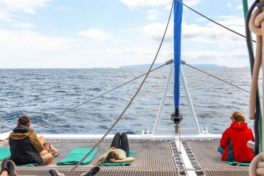 From Funchal: Madeira Dolphin and Whale Watching Tour - The coastline on the return to Funchal