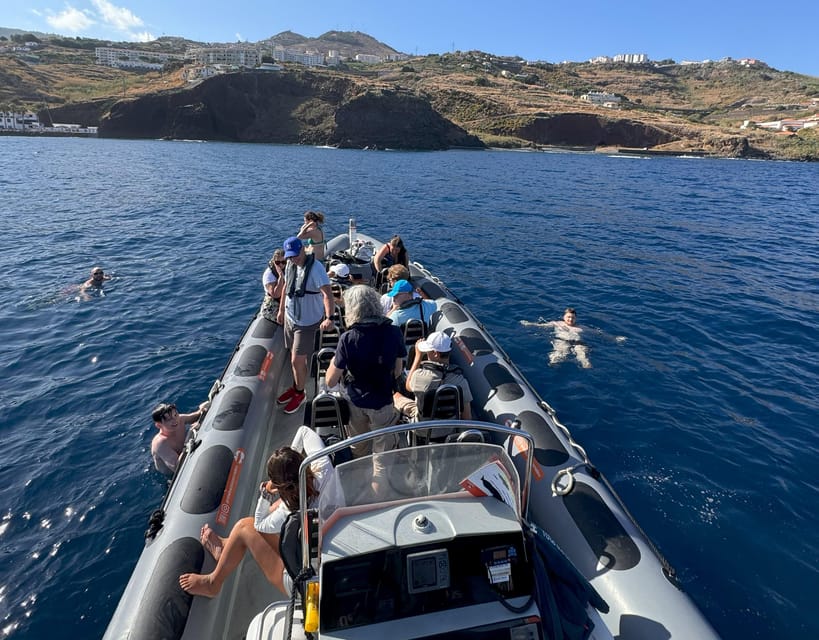 From Funchal: Whale and Dolphin Watching - Is $56 good value?