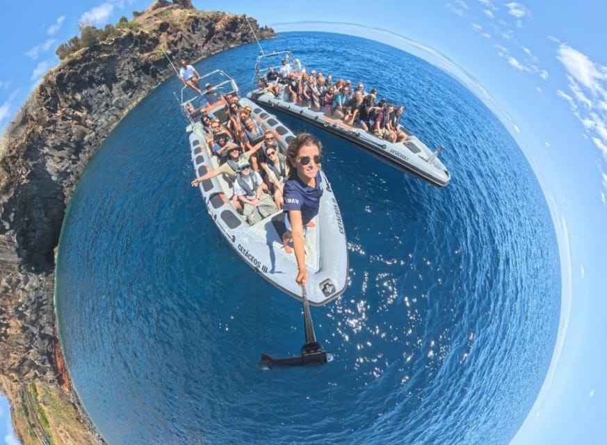 From Funchal: Whale and Dolphin Watching - The return along Madeira’s coast