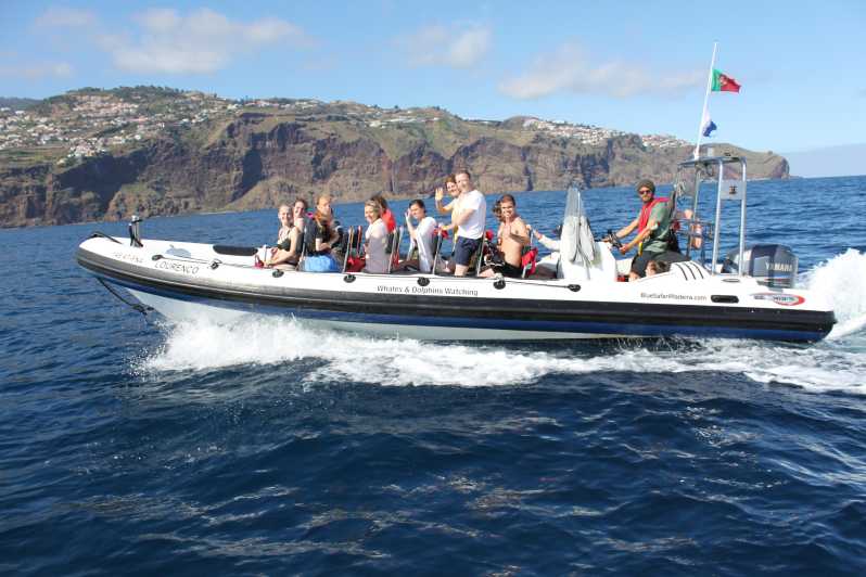 From Funchal: Whales and Dolphin Adventure Tour - Leaving Funchal Marina on a fast, open boat
