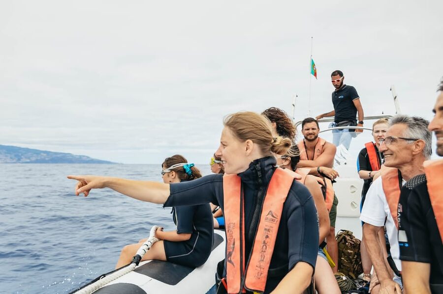 From Funchal: Whales and Dolphin Adventure Tour - Swimming with dolphins, only when conditions are right