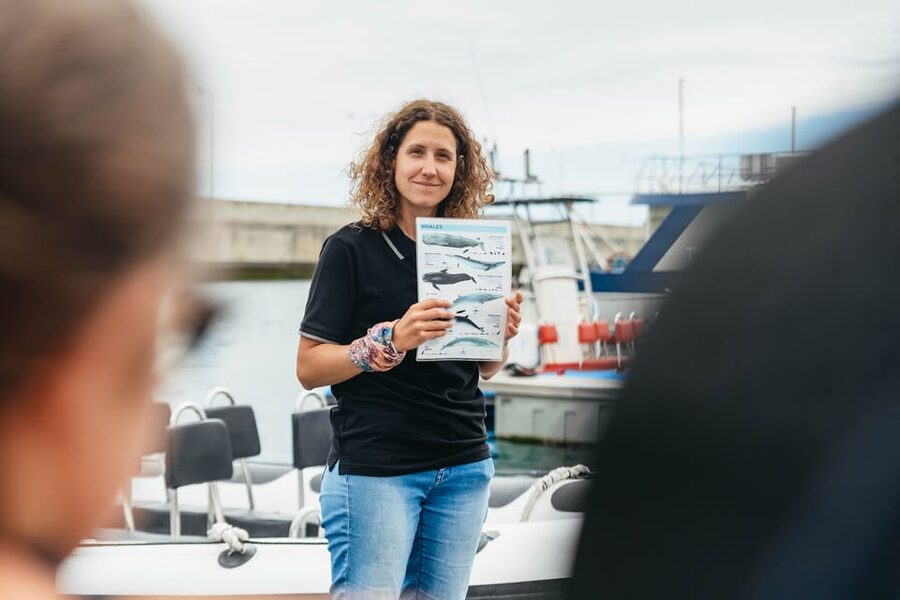 From Funchal: Whales and Dolphin Adventure Tour - The ride, comfort, and seasickness question