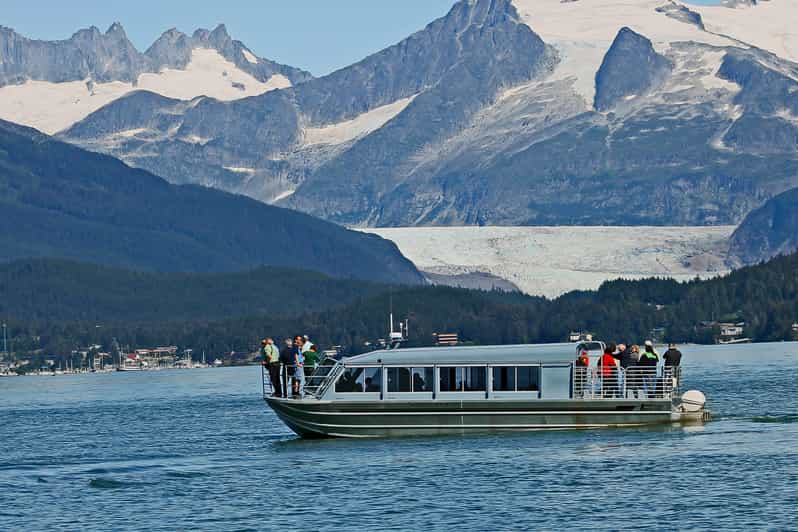 From Juneau: Whale Watching Cruise with Snacks - Is $154 a good value?