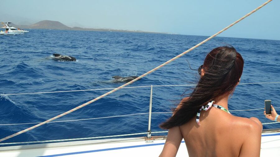 From Los Gigantes: Whale Watching Sailboat Cruise - Tapas and drinks after the water stop