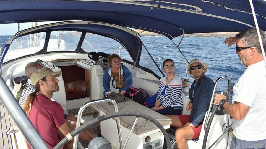 From Los Gigantes: Whale Watching Sailboat Cruise - Is the $88 price good value?