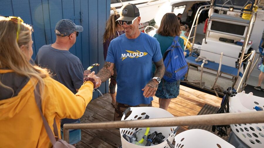 From Ma'alaea: Afternoon Whale Watch Tour Aboard the Malolo - Why humpback season makes this trip special