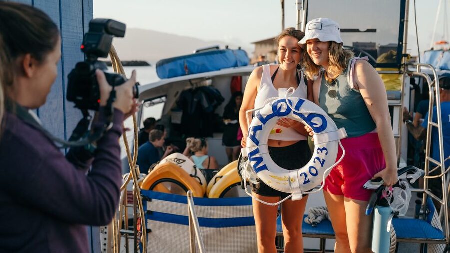 From Ma'alaea: Afternoon Whale Watch Tour Aboard the Malolo - Is $59 a good value?