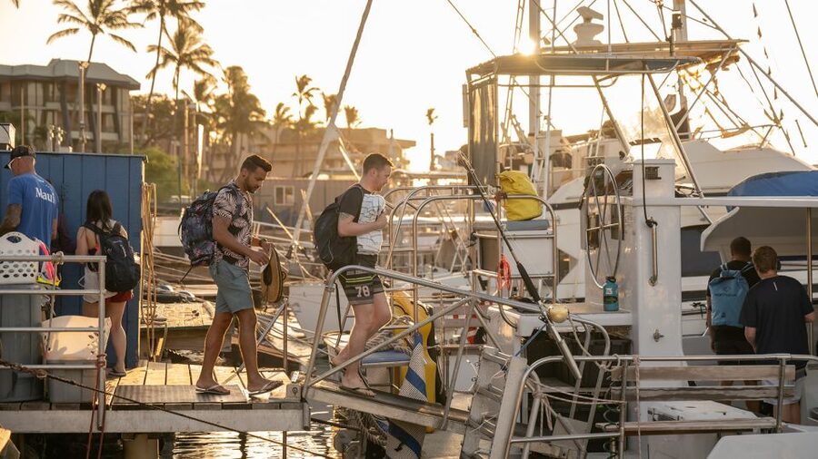 From Ma'alaea: Afternoon Whale Watch Tour Aboard the Malolo - The Malolo catamaran and your two hours on the bay