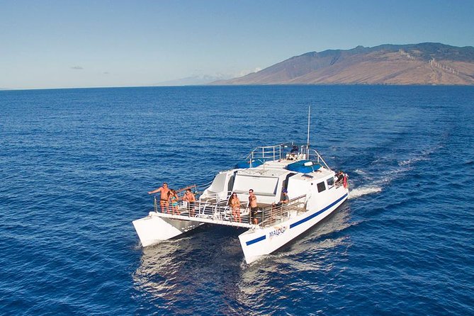 From Ma'alaea Harbor, Maui: Whale Watch Cruise Aboard Malolo - Weather, wind, and the comfort question