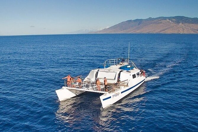 From Ma'alaea Harbor: Sunset Whale Watch Tour Aboard the Malolo - Key points to know before you book