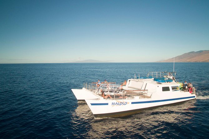 From Ma'alaea Harbor: Whale Watch Cruise Aboard the Malolo - Hydrophones make the trip more than a lookout game