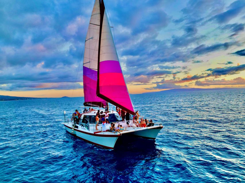 From Maalaea: Whale Watching Catamaran Cruise with Drinks - Key points before you book