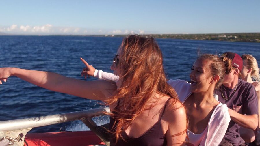 From Maalaea: Whale Watching Catamaran Cruise with Drinks - Drinks, snacks, and the age rules